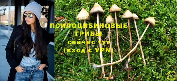 гашишное масло Красноперекопск