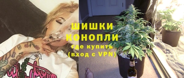 шишки Краснослободск