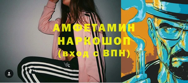 шишки Краснослободск