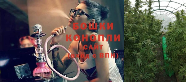 шишки Краснослободск