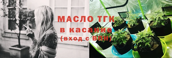 шишки Краснослободск