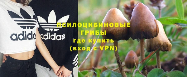 PSILOCYBIN Краснотурьинск