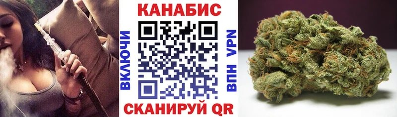 Конопля Bruce Banner  Купить где  Киржач 